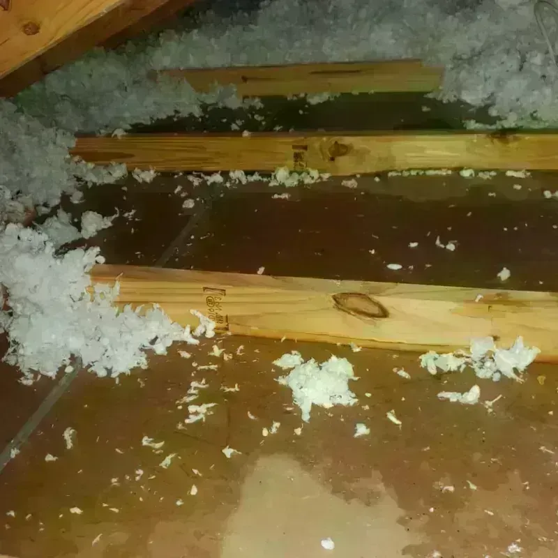 Attic Water Damage in Upper Alton, IL