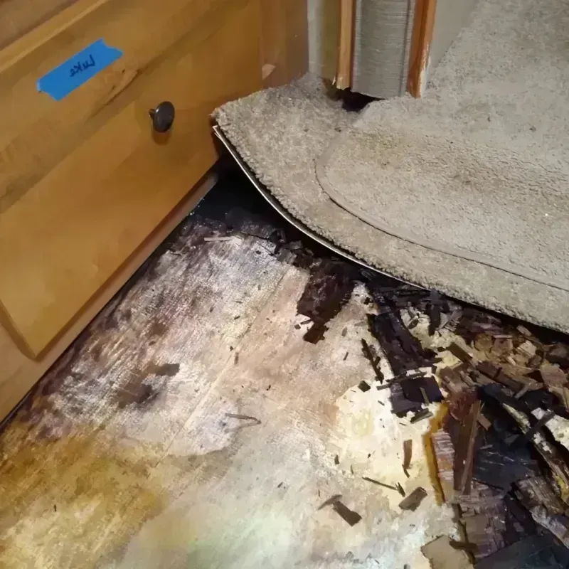 Wood Floor Water Damage in Upper Alton, IL